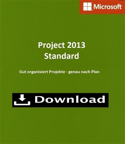 microsoft project standard 2013